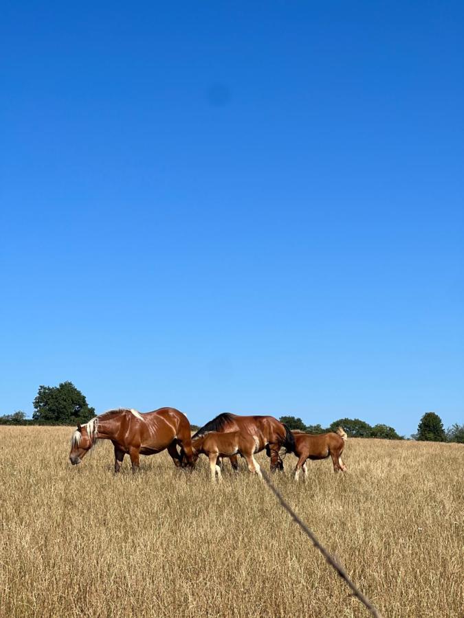 Tout Au Bout Du Chemin Réquista Exterior foto